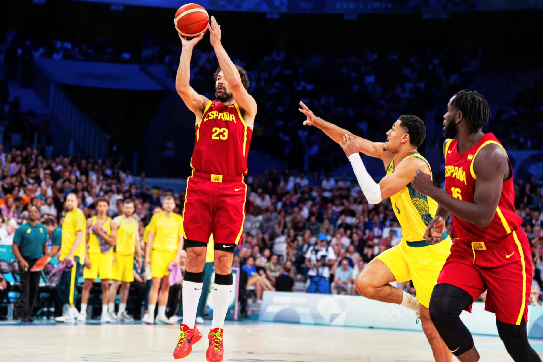 西班牙男篮横扫掘金，加里纳利一己之力扛起全队