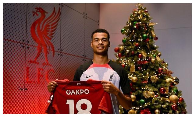 开云体育官方网站-巴西绝杀挪威，范戴克扛起全队